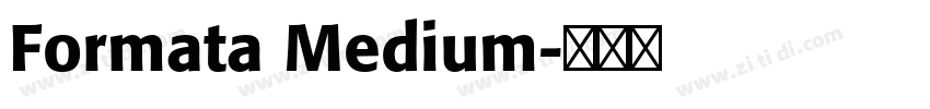 Formata Medium字体转换